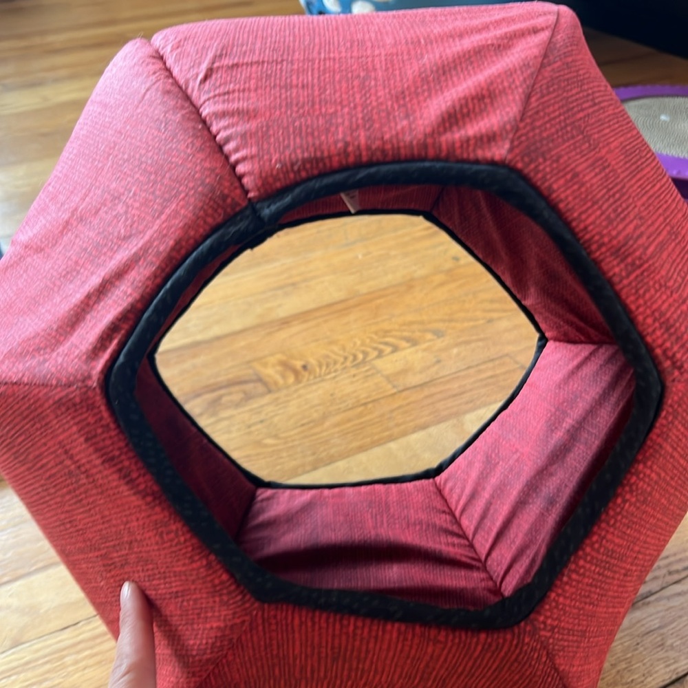 The Cat Ball! - Picture 2 of 5